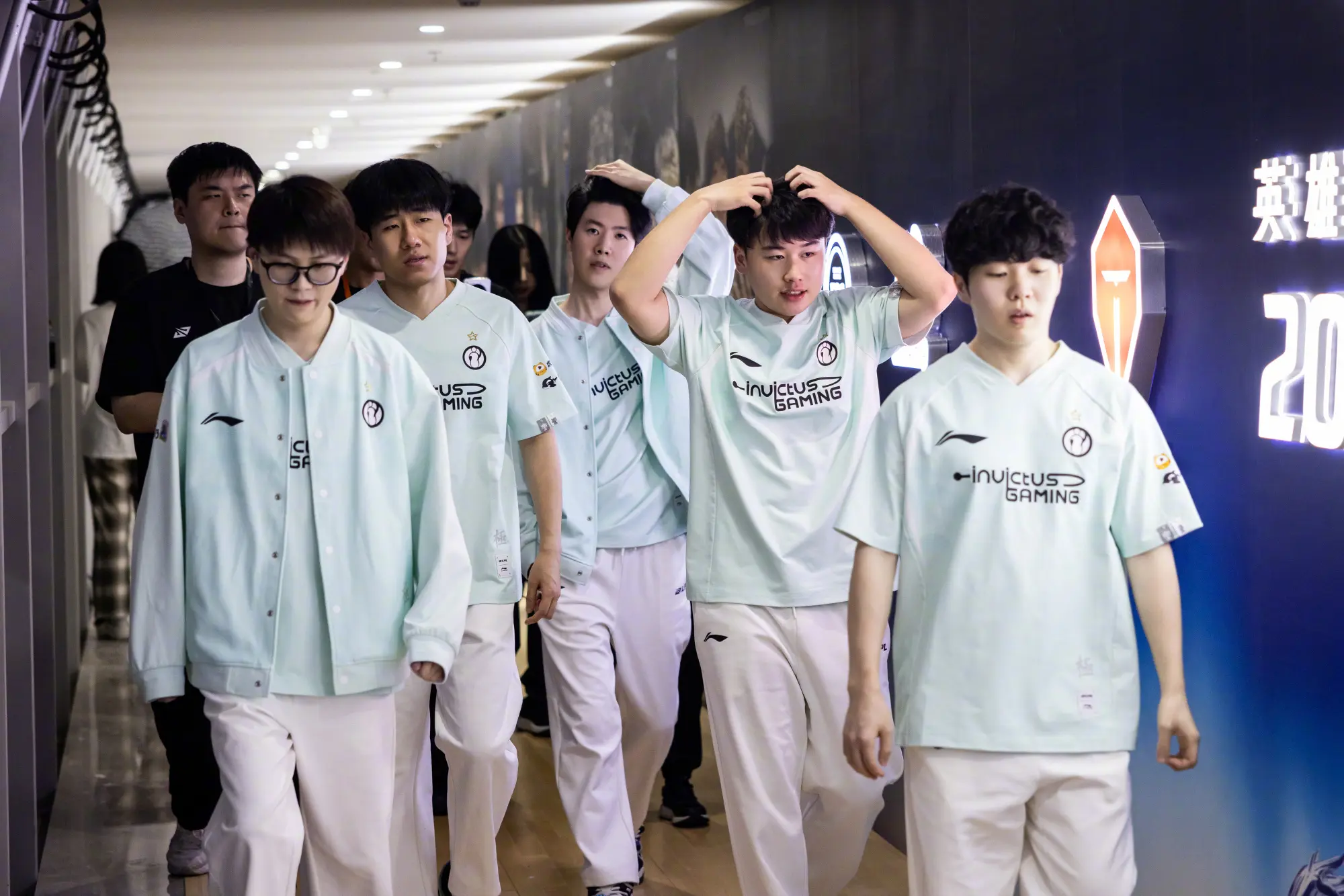 entit, img entit, img